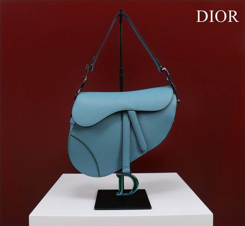 DIOR Handbags 33